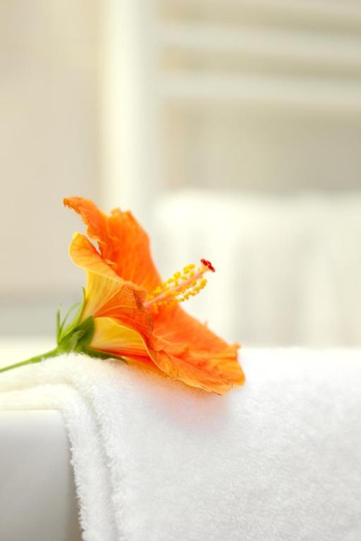 Hotel Le Clos Roussillon Pres De Sarlat Витрак Стая снимка